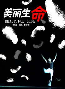 《纽约行动2》电影观看
